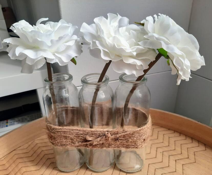شقة La Palme De Retz بورنيك المظهر الخارجي الصورة